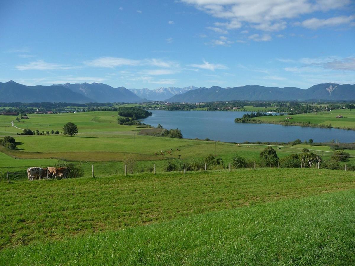 Stadtvilla Murnau am Staffelsee Exteriör bild